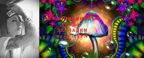 стафф Арсеньев