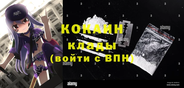 стафф Арсеньев