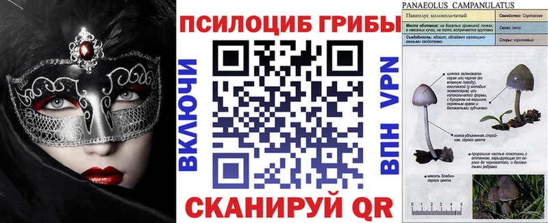 Псилоцибиновые грибы Psilocybe  Соликамск 